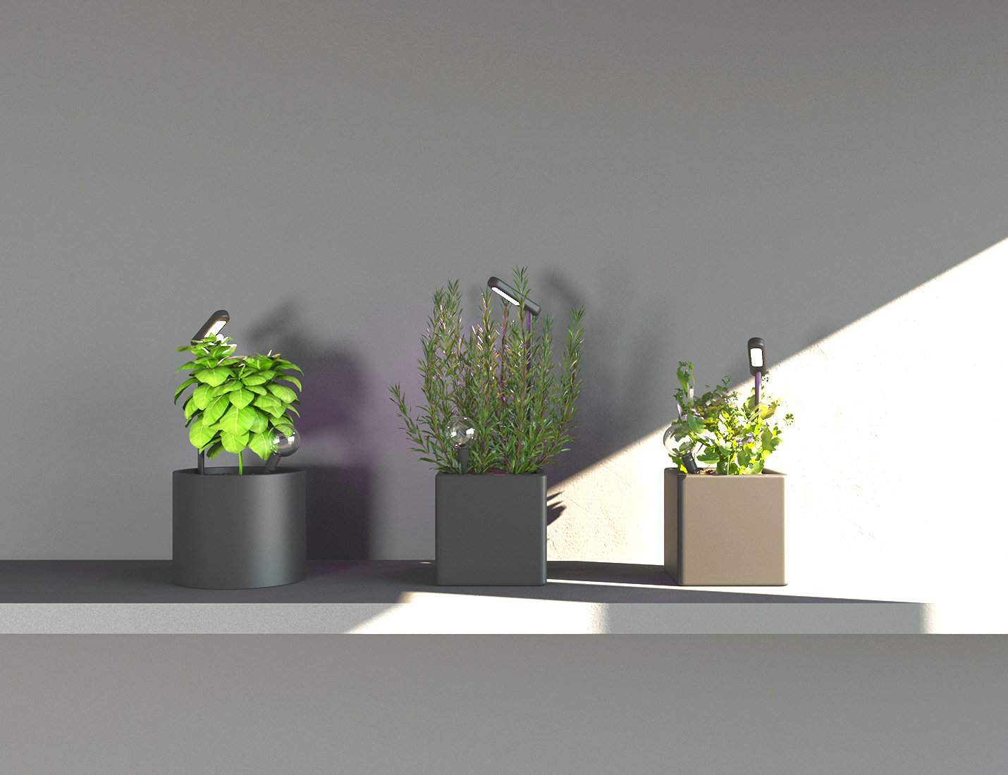 Plant Sitter