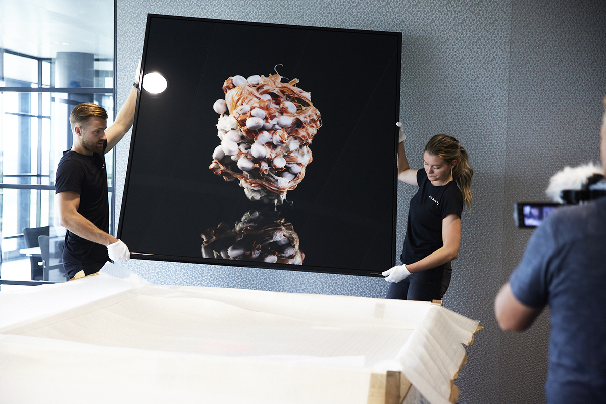 Modern Art - The hidden beauty of plastic waste.