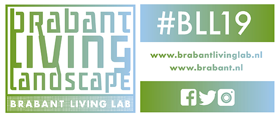 Logo &amp; Socials BLL