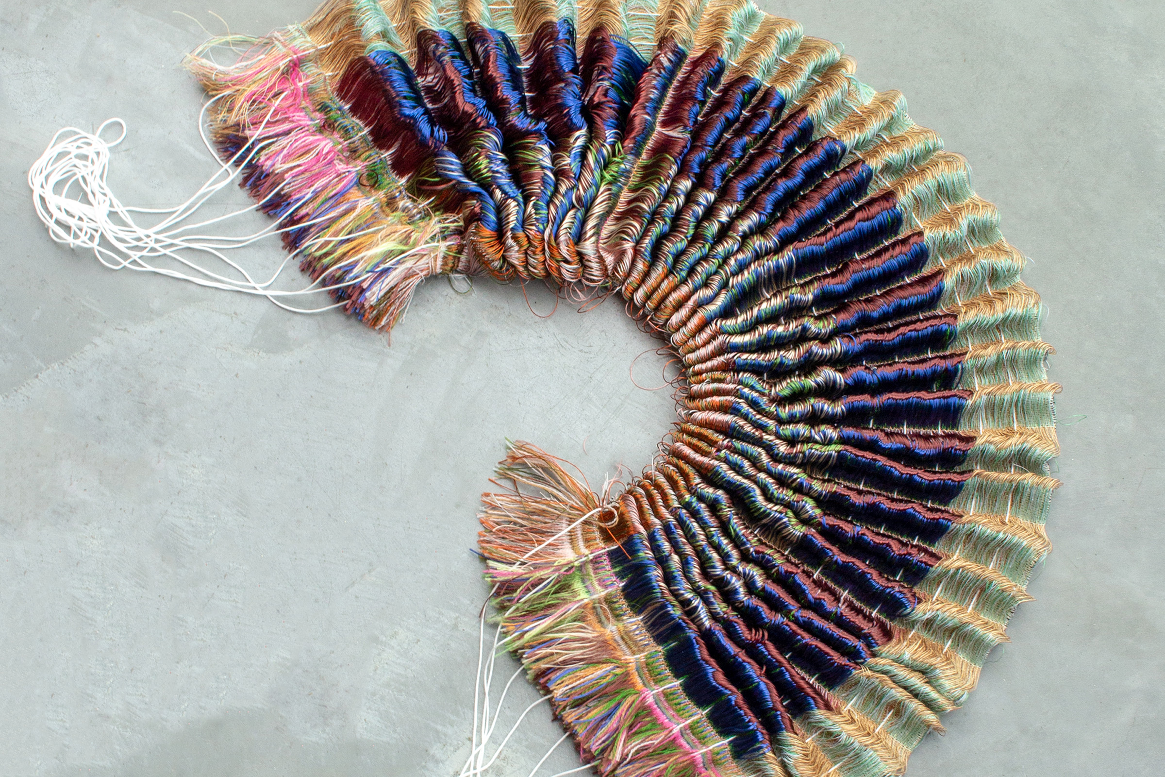 Pollia, sample