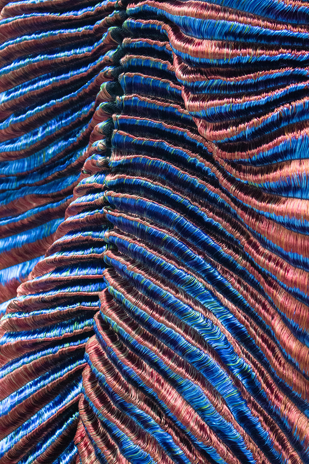 Pollia, detail