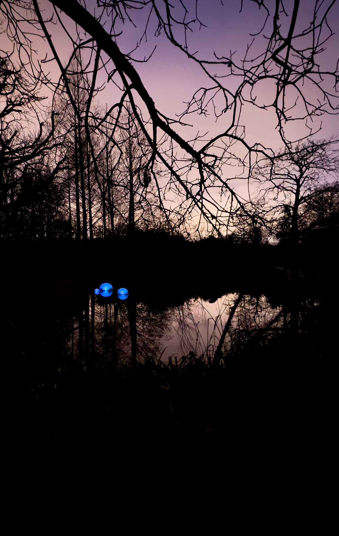 POND in Rotterdam Zoo