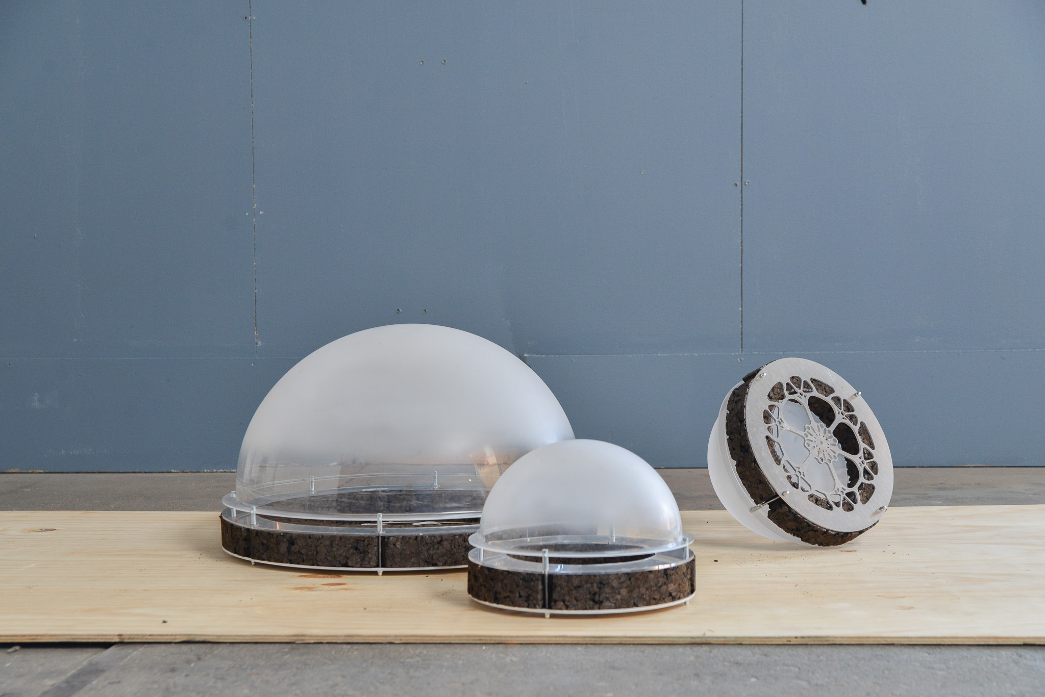 POND at Dutch Design Week