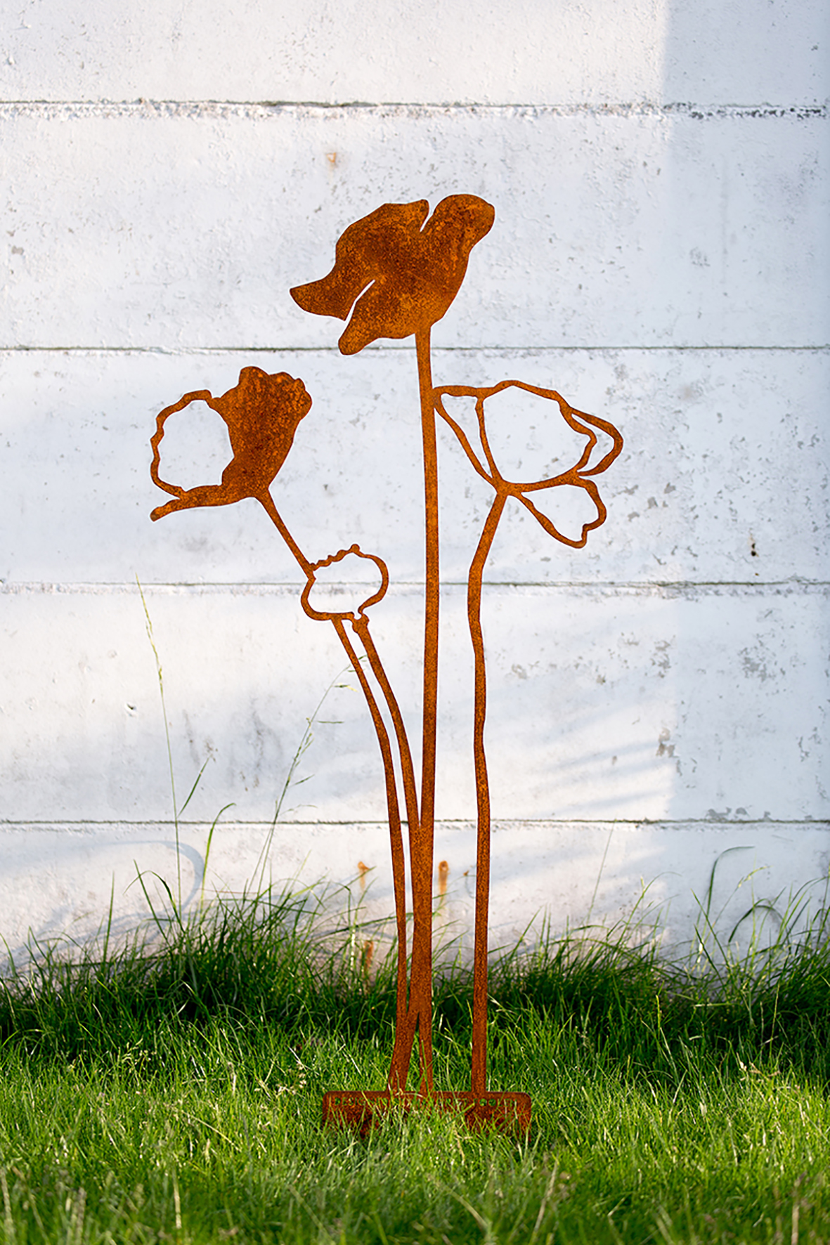 Poppy open up, corten steel
