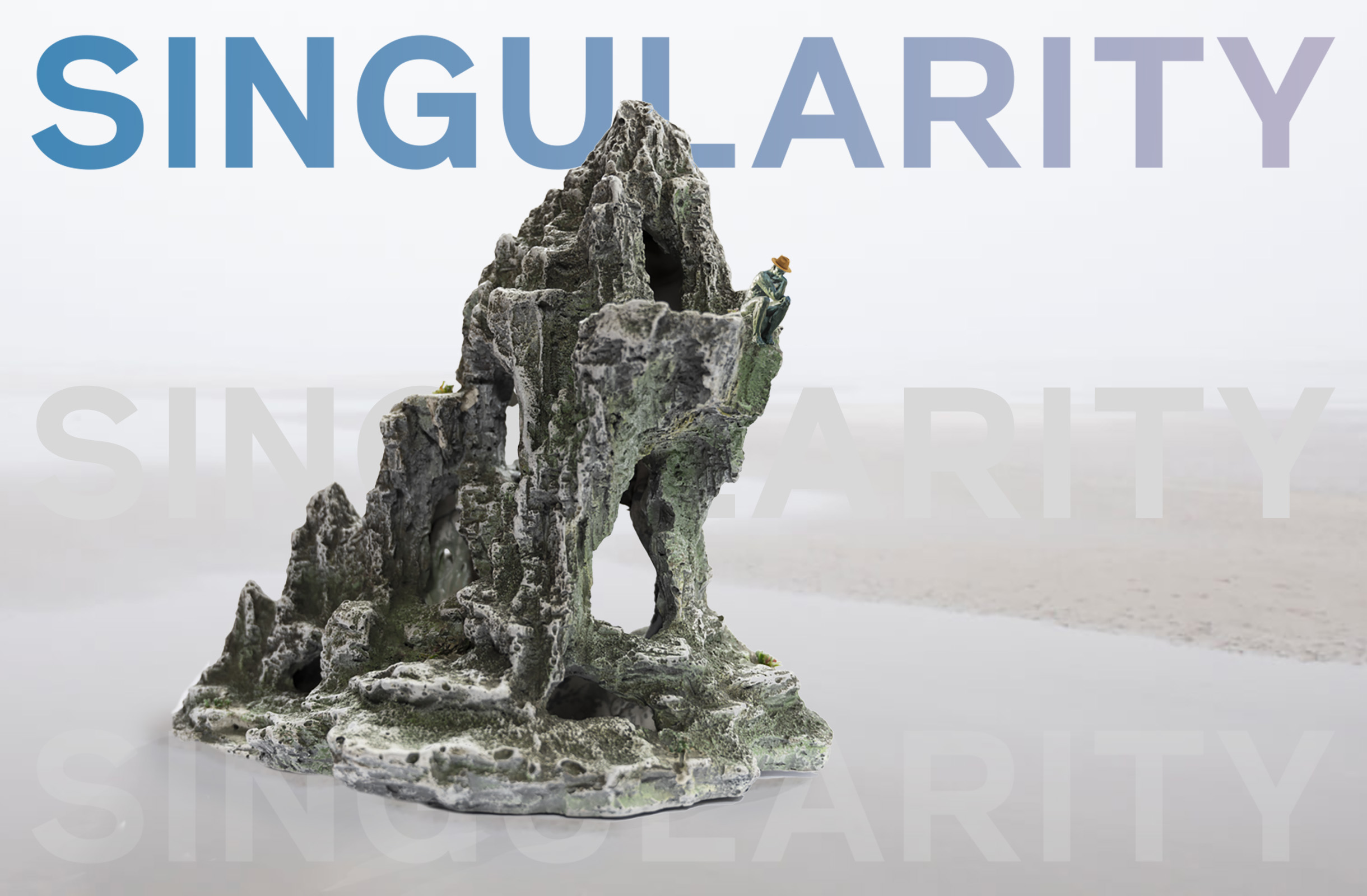 Atelier van Asseldonk - Singularity