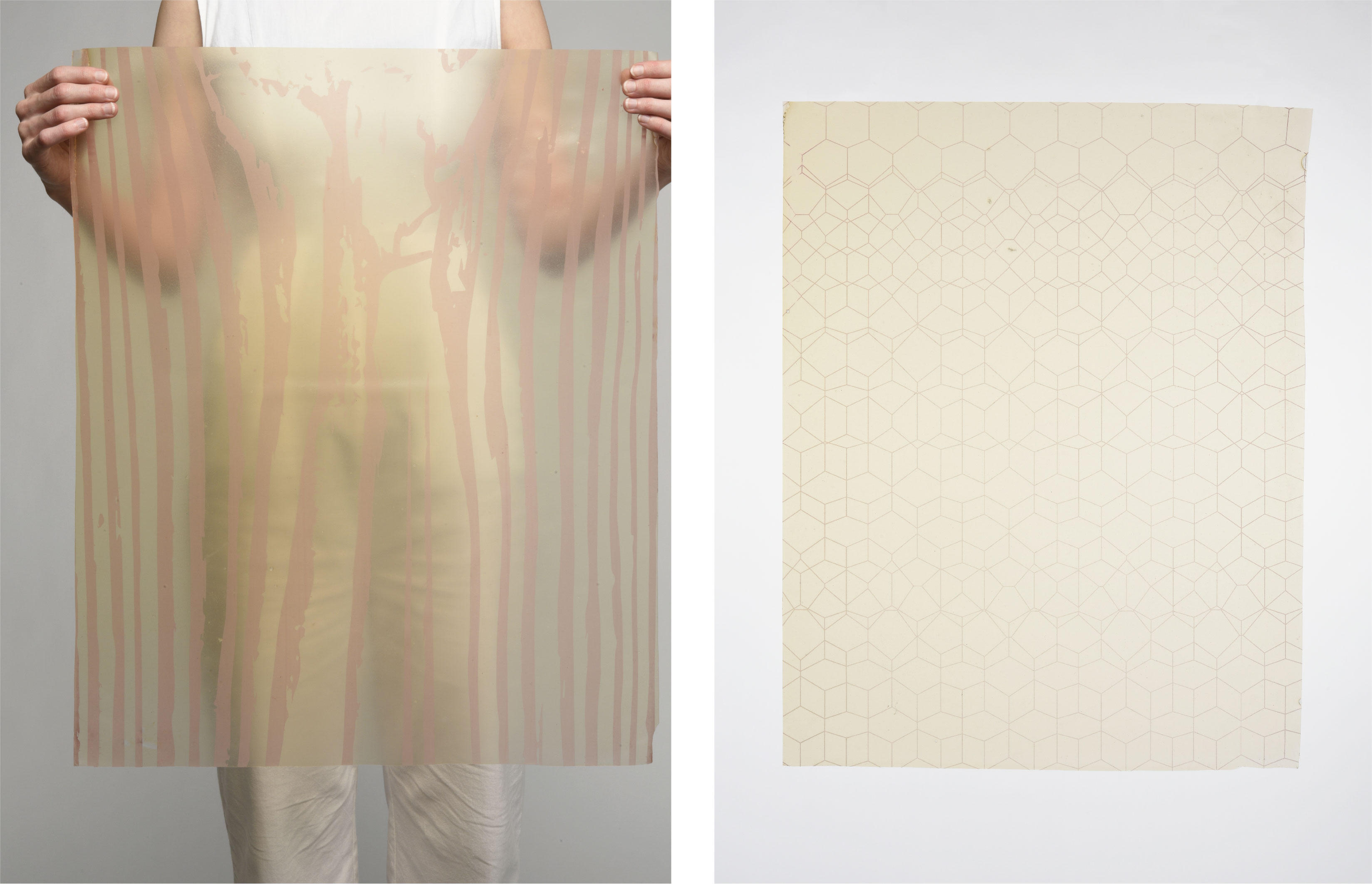 Pomace print on pomace surface
