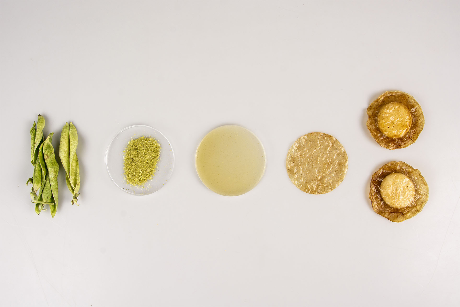 Process of the 'Peapod Bioplastic'