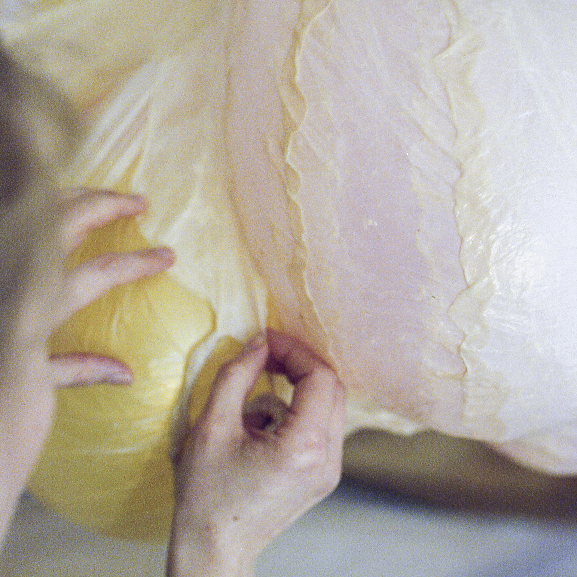 Process - Shaping