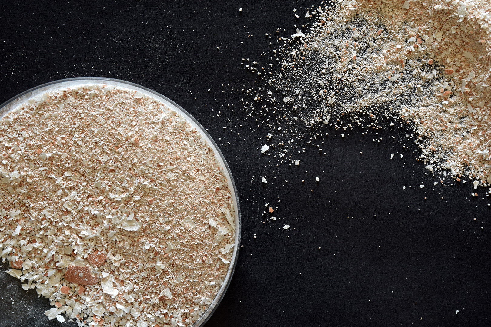 Processed eggshells