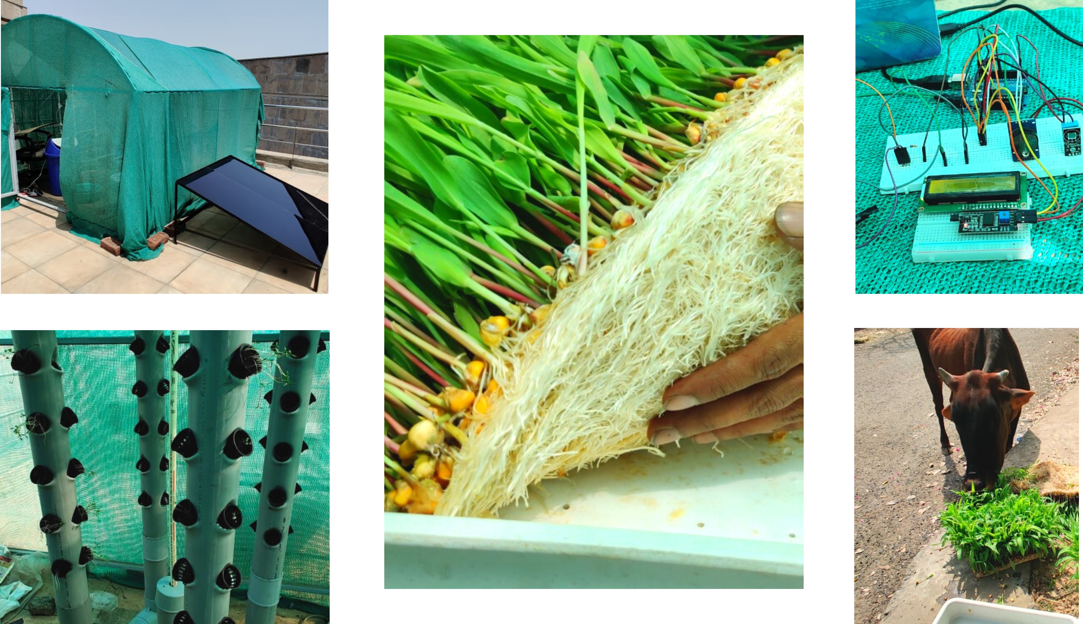 Prototype of a solar hydroponic system