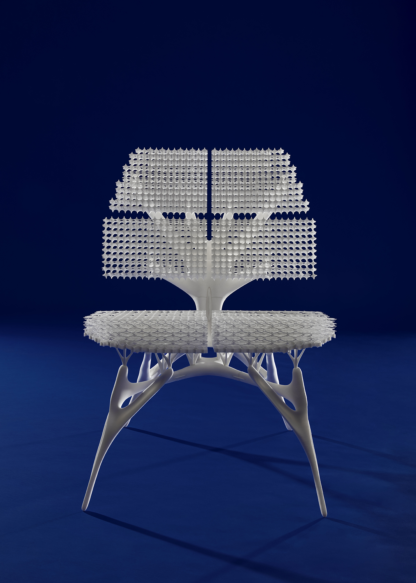 Radiolaria #1 - Fragments of Nature