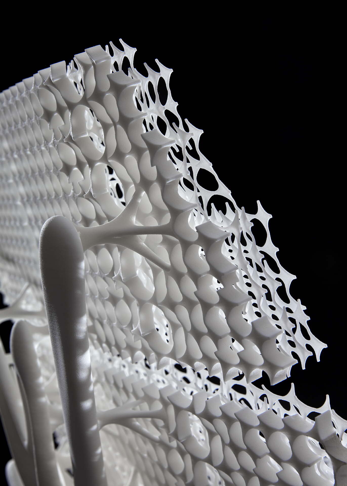 Radiolaria #1 - Fragments of Nature
