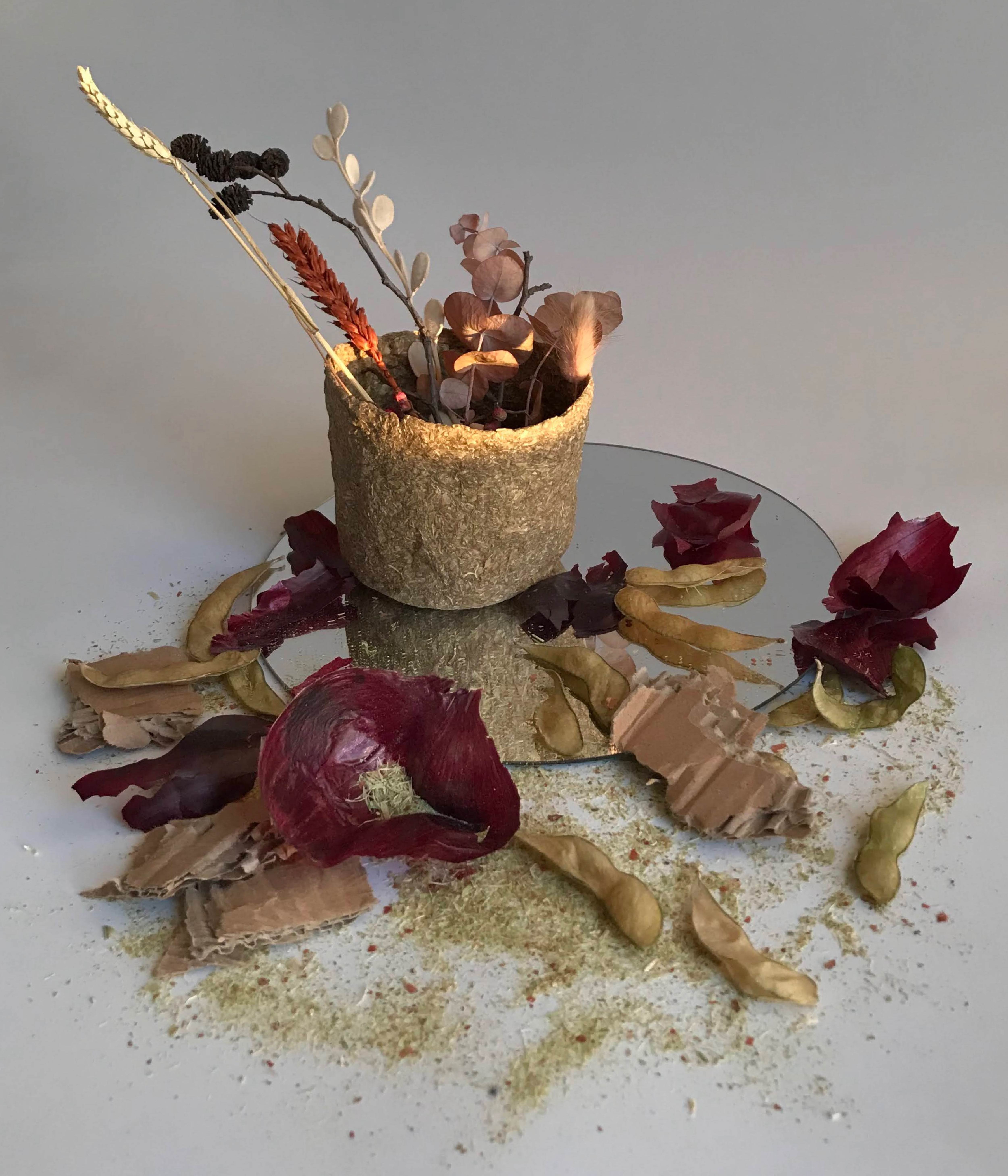 Re Product Güneş with Ingredients
