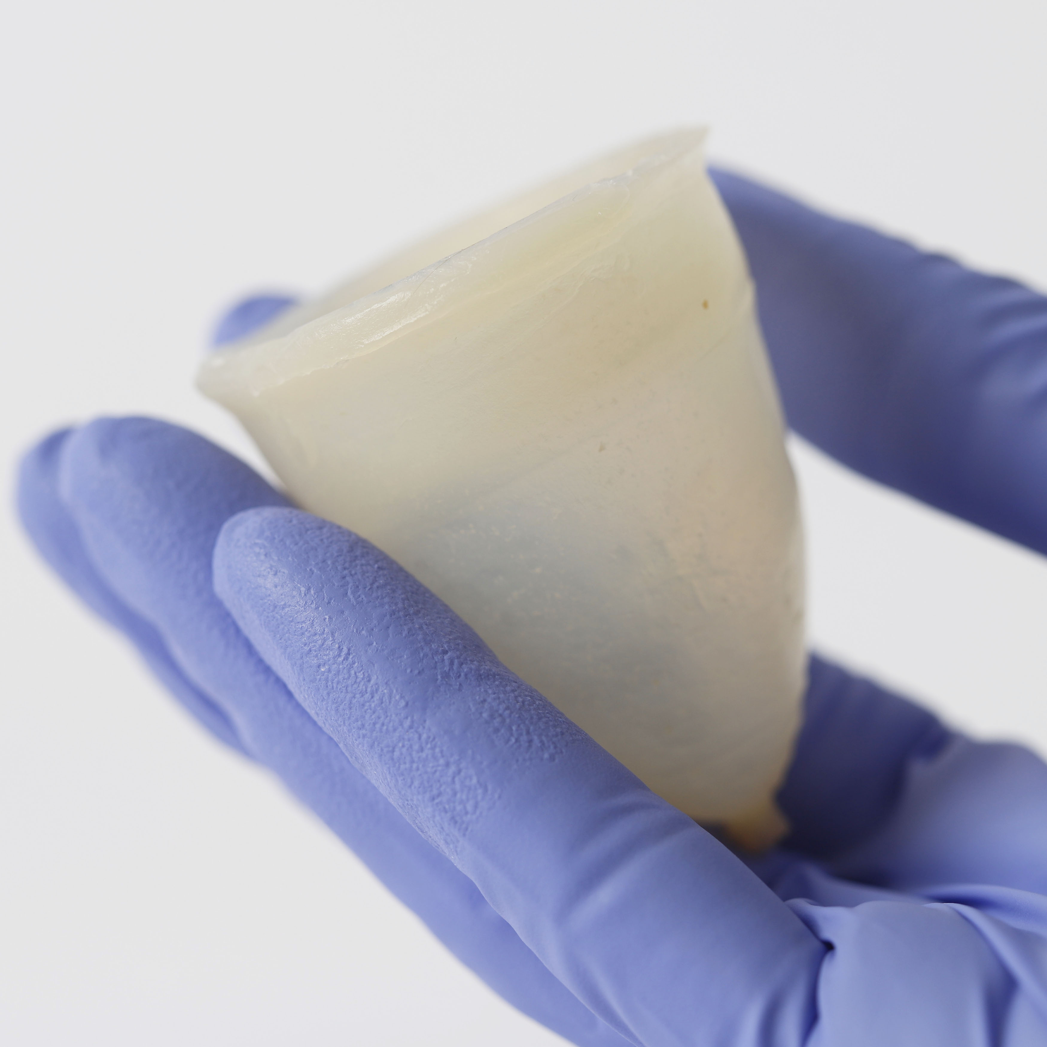Living cup prototype