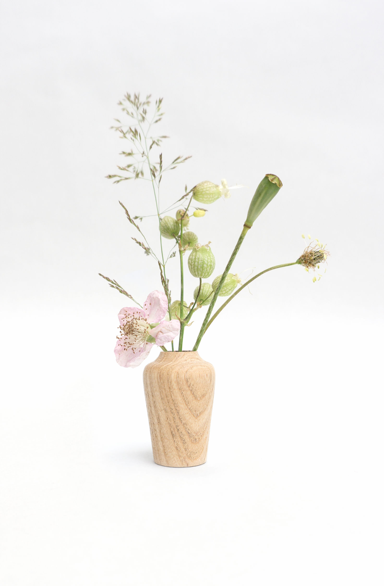 Studio Rene Siebum | A plant in the wrong place