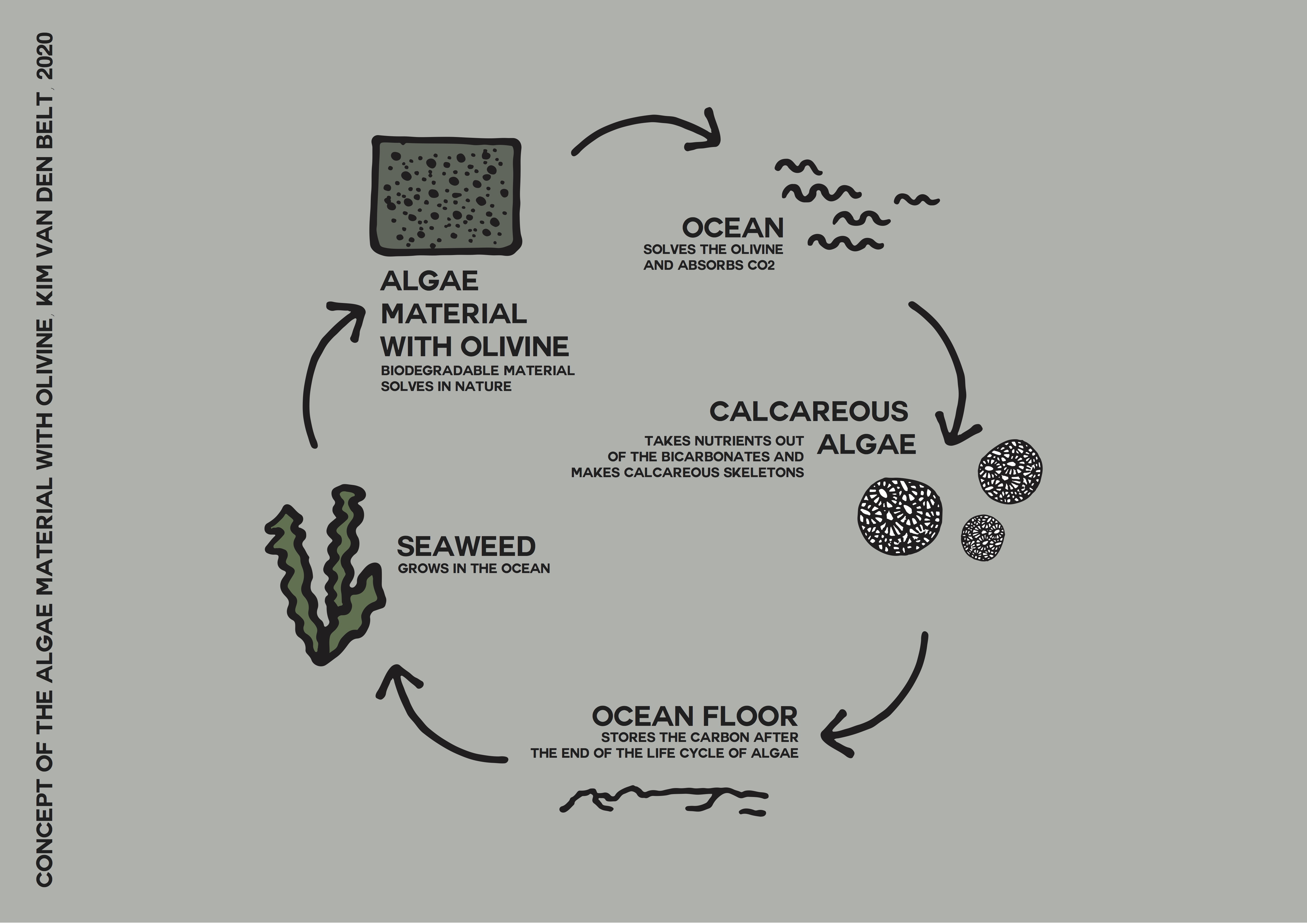Concept of olivine mixed with algae material