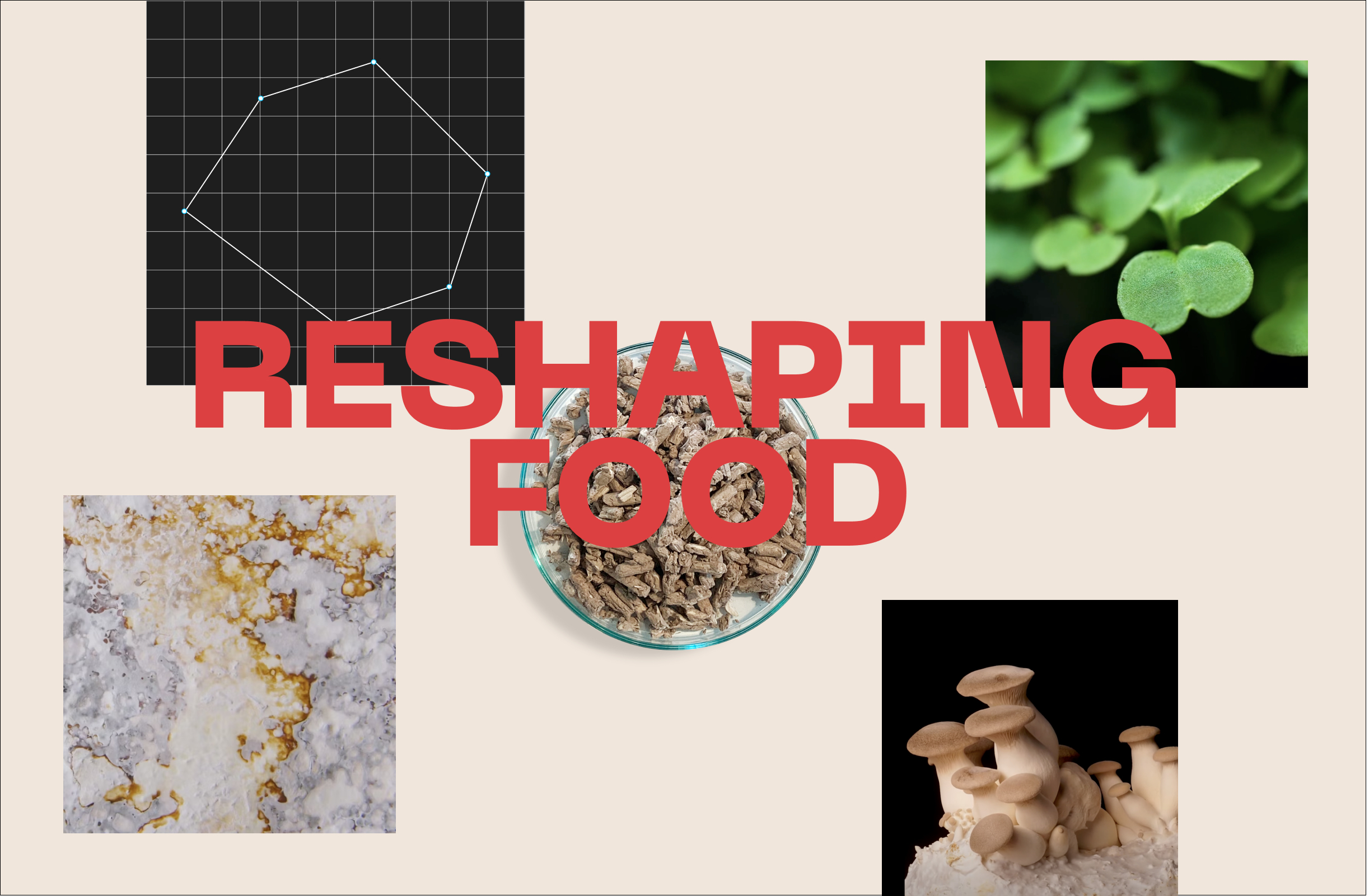 Reshaping food