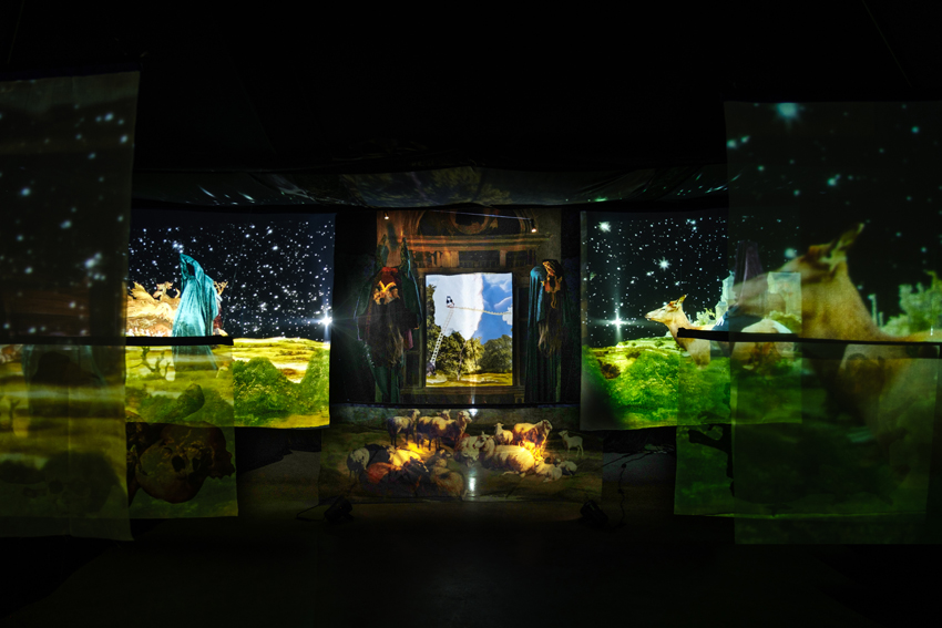 Installation: The return of the Wolf