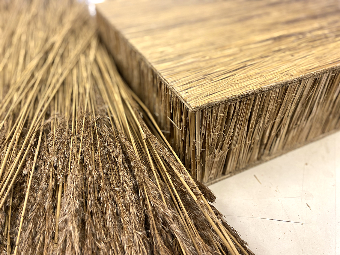 Reed Sandwich Panel