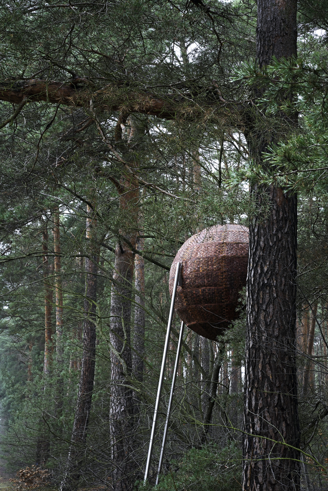 Bark Sphere