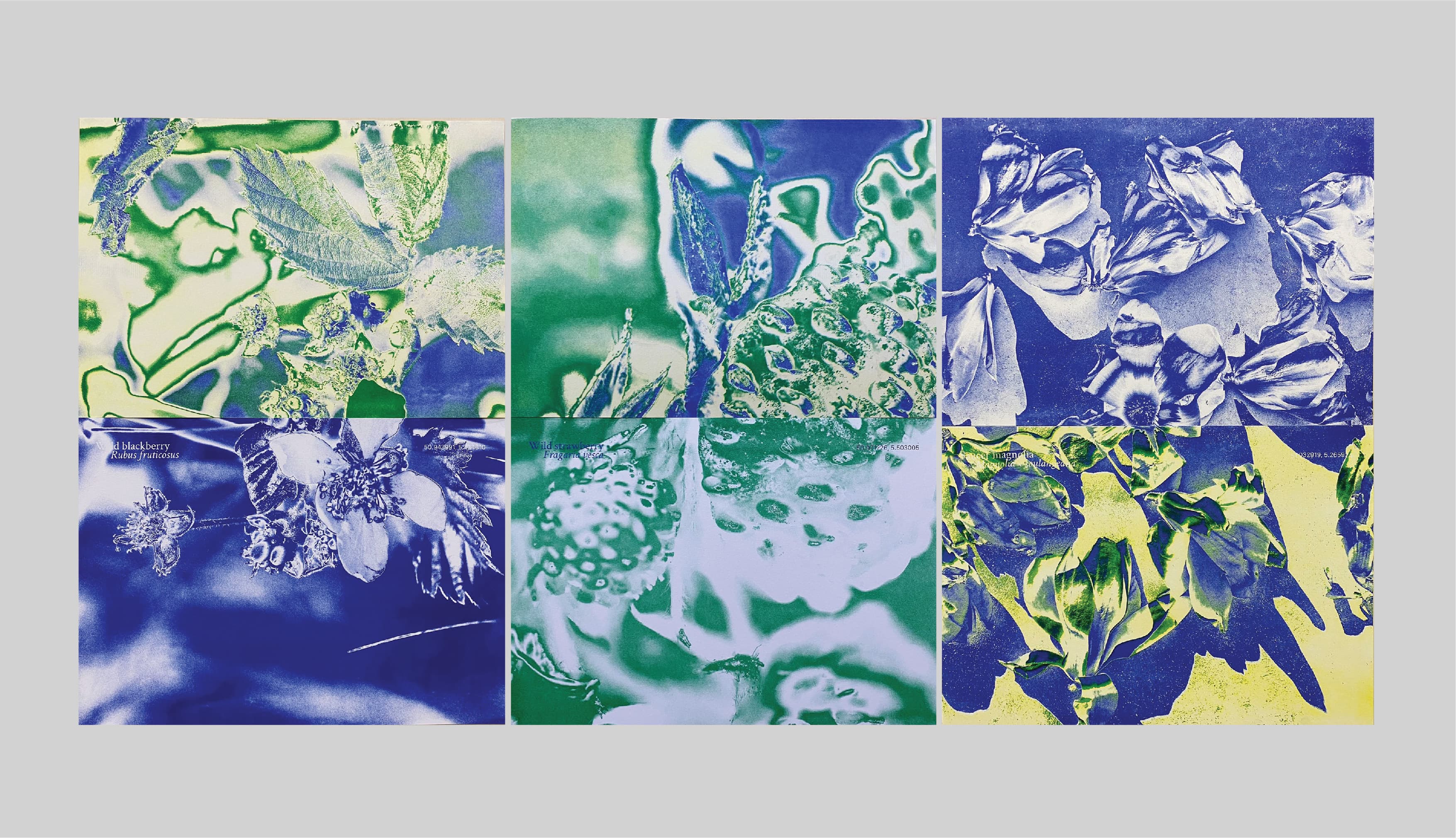 Tenderly risograph posters series, 29.7 x 42 cm