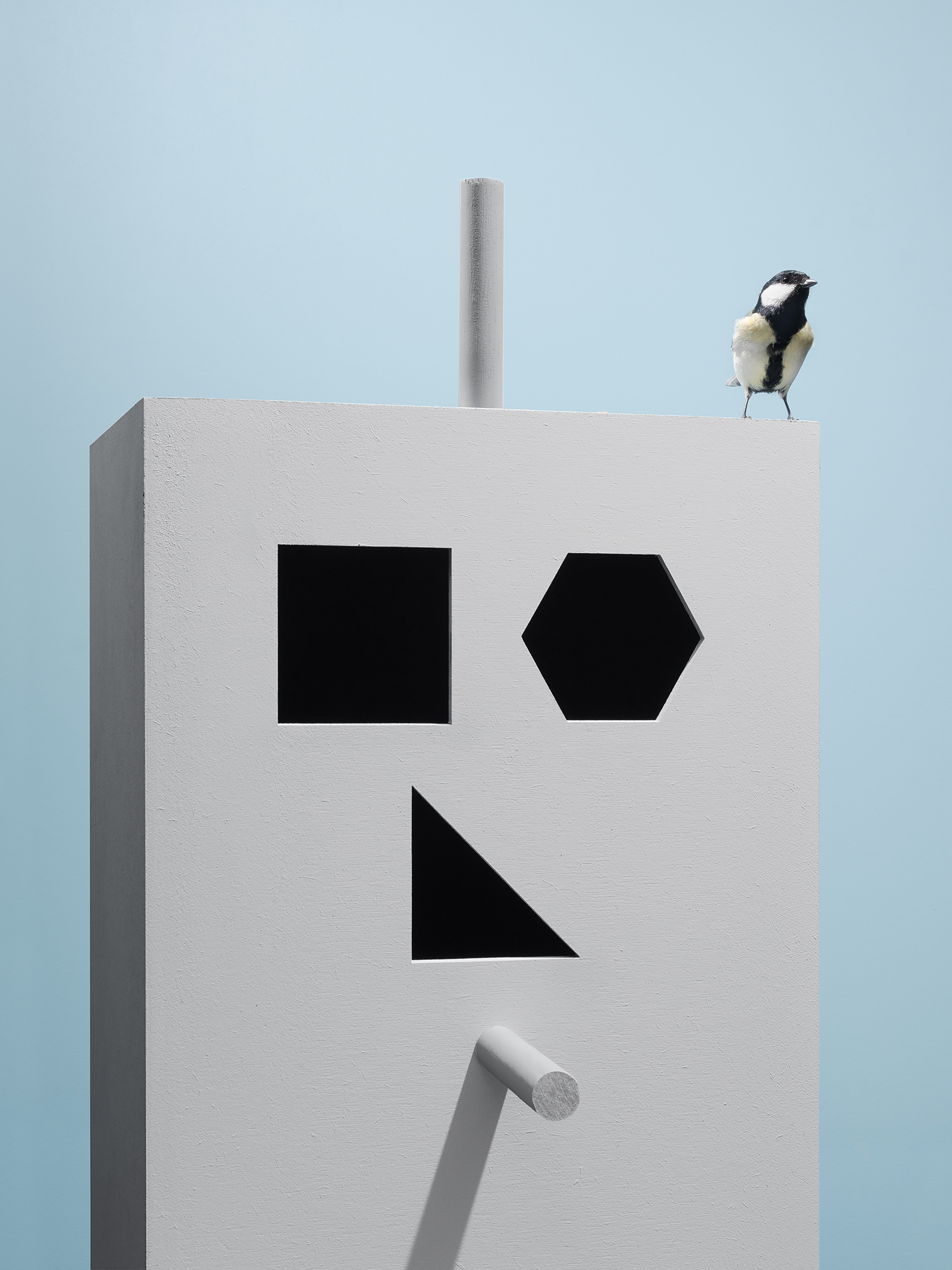 Robot Bird, 2023