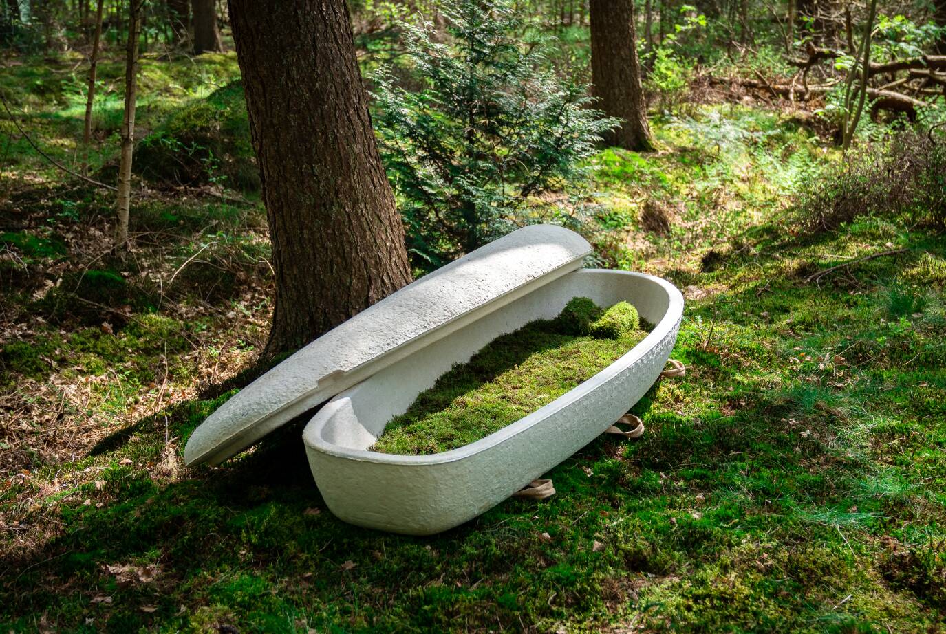 Living Coffin