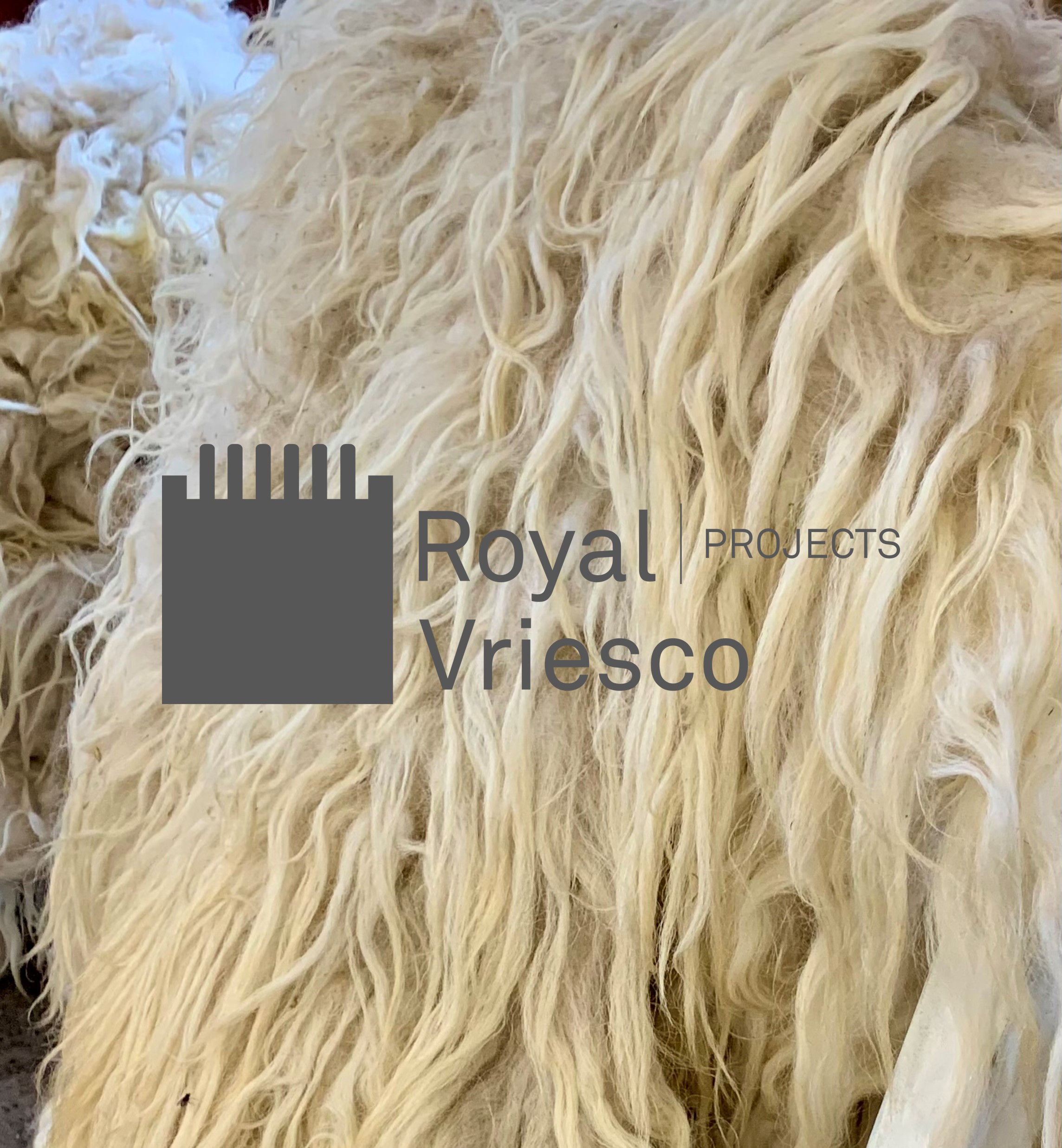 Royal Vriesco Projects @DDW2023