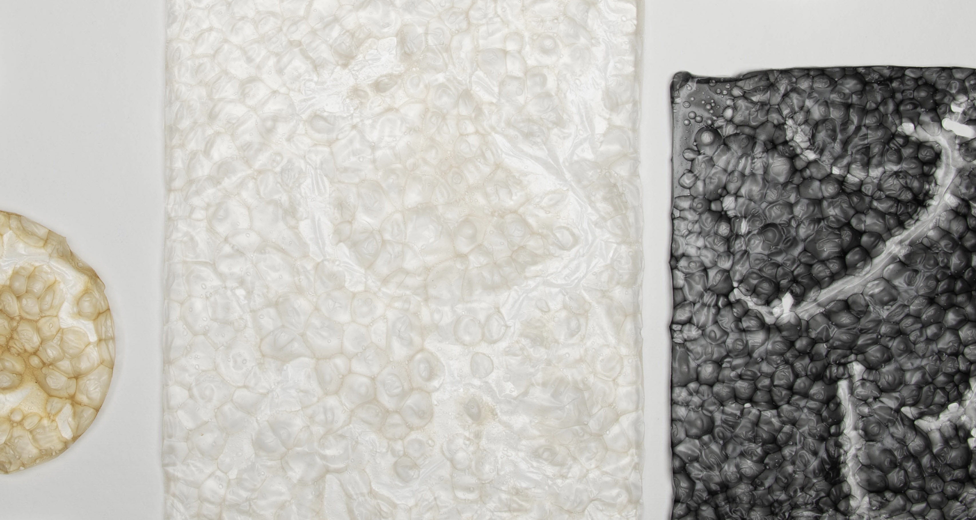 Bio Bubble Wrap
