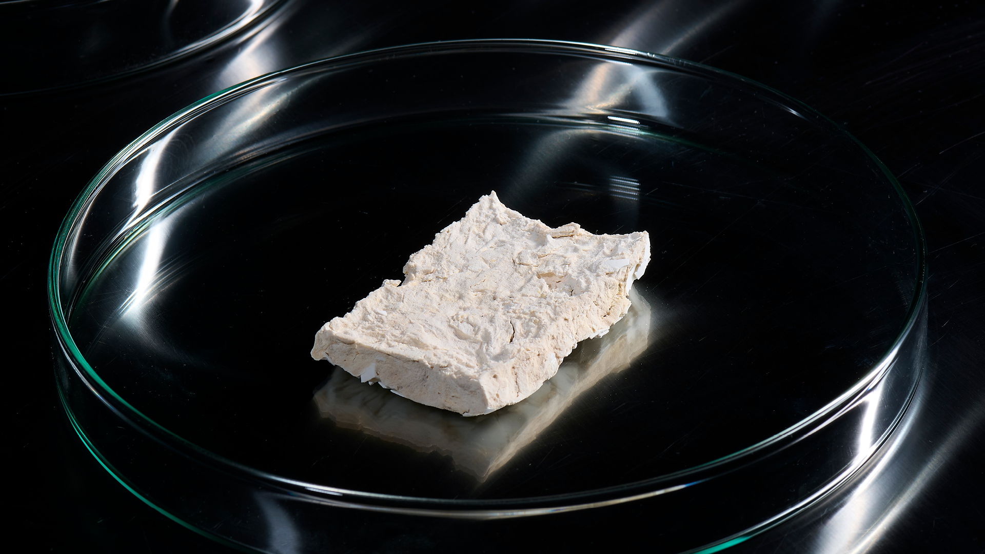 SPACE FOR BIOMATERIALS / Lilli Seiler – Eggshell