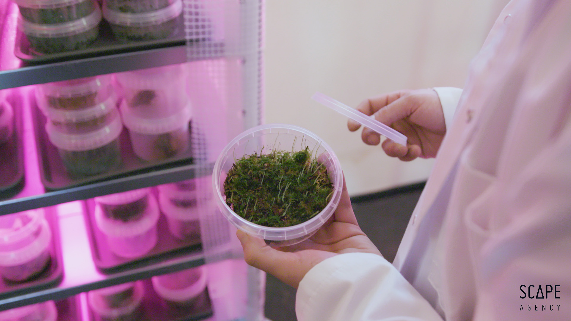 Bioreceptive Stations - Moss Research