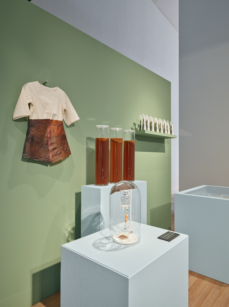 Museum de Domeinen: Kunst &amp; Kunststof (Yksi)