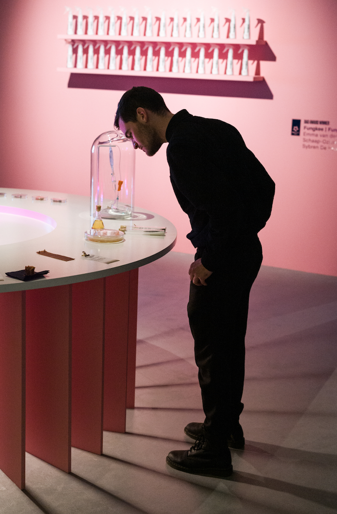 MU_Polarities exhibition