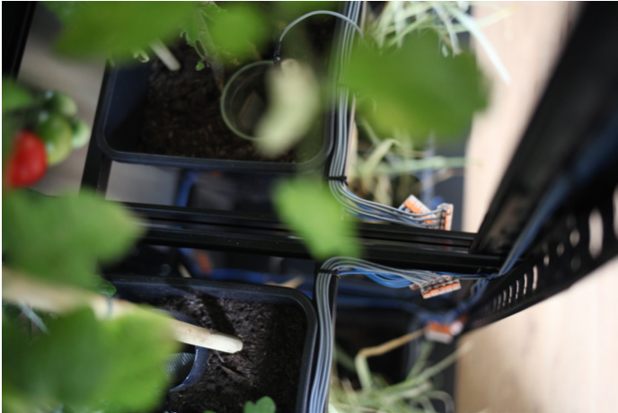 Cable management in greenhouse