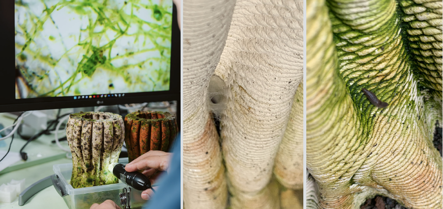research in bioreceptivity by design