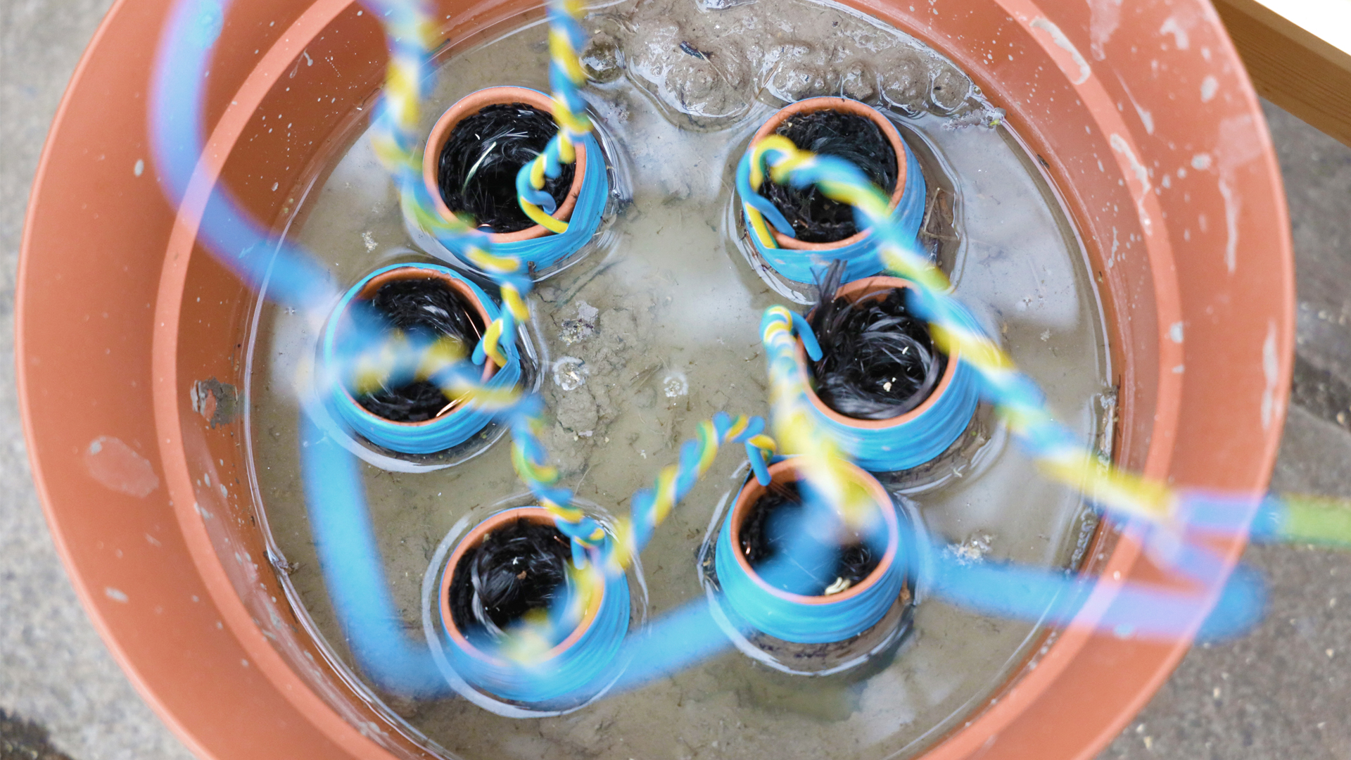 Microbial fuel cells in river mud rich in bacteria