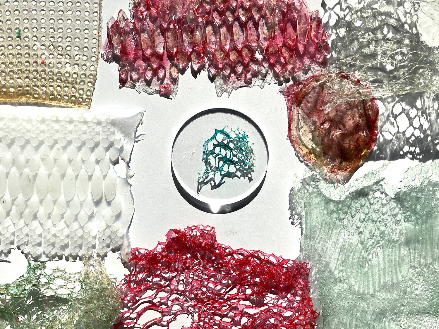 Bio Material Archive