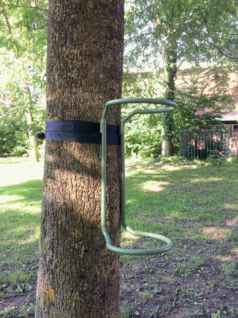 SITTING TREE