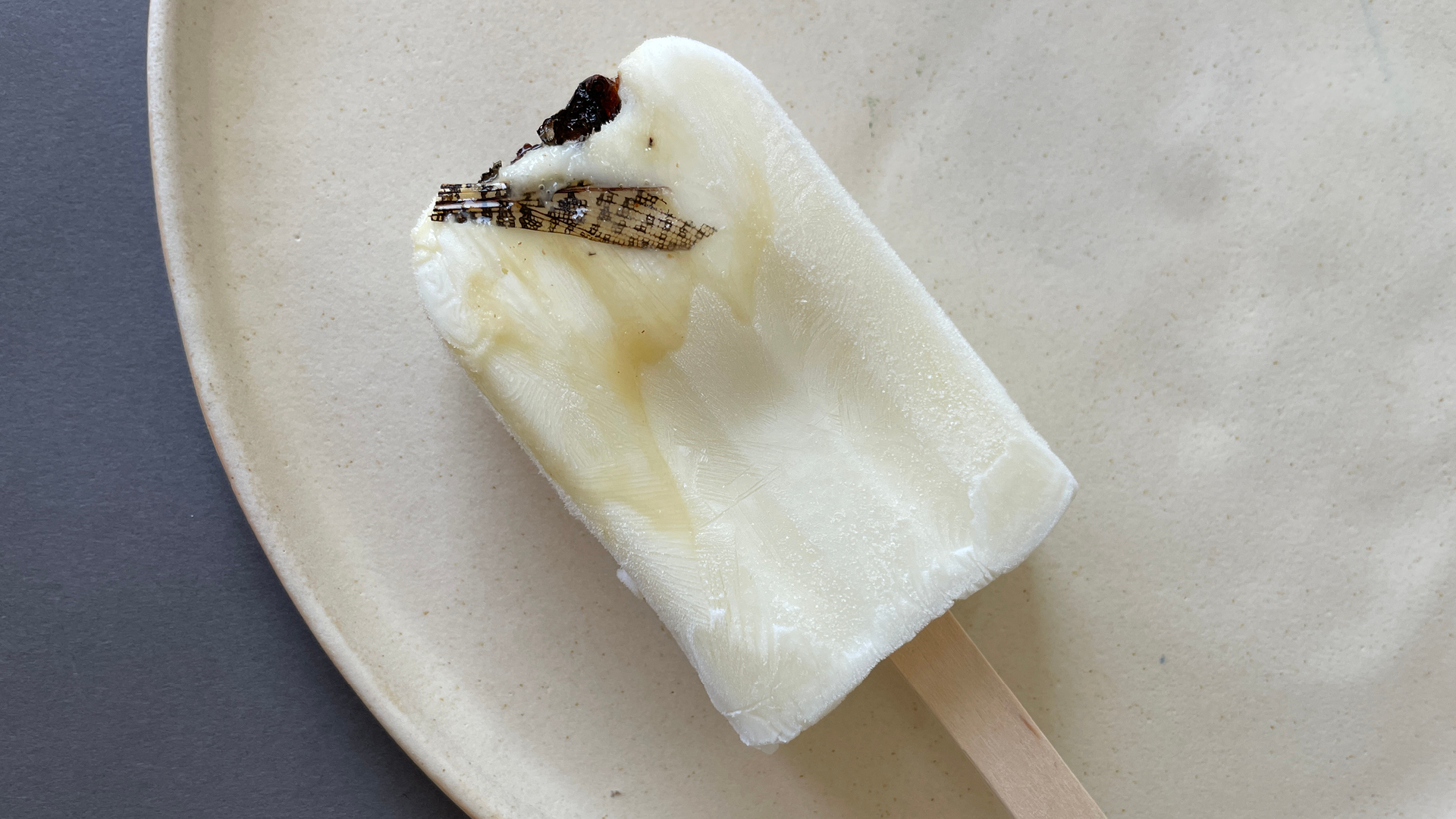 SPACE FOR NARRATIVES / Algae and insect ice cream