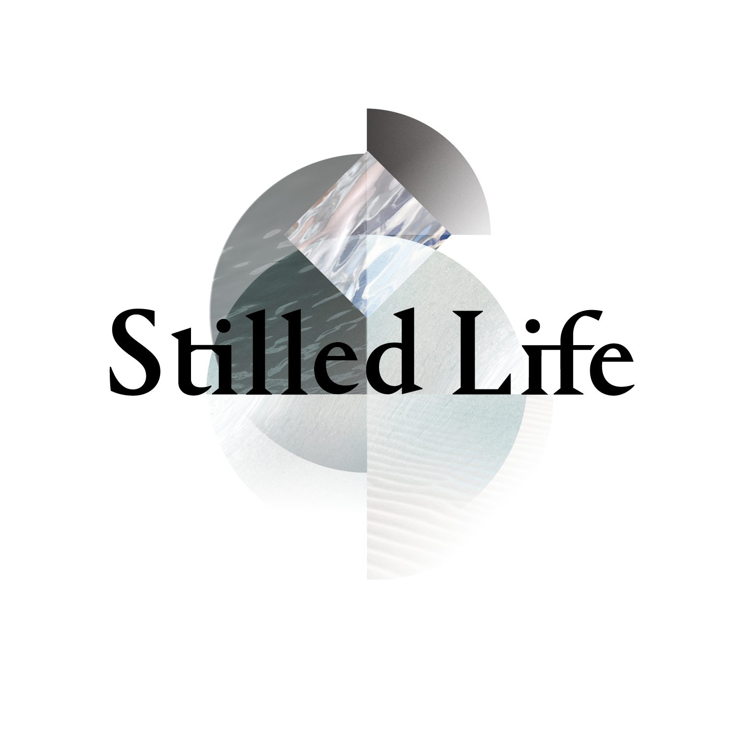 Stilled Life