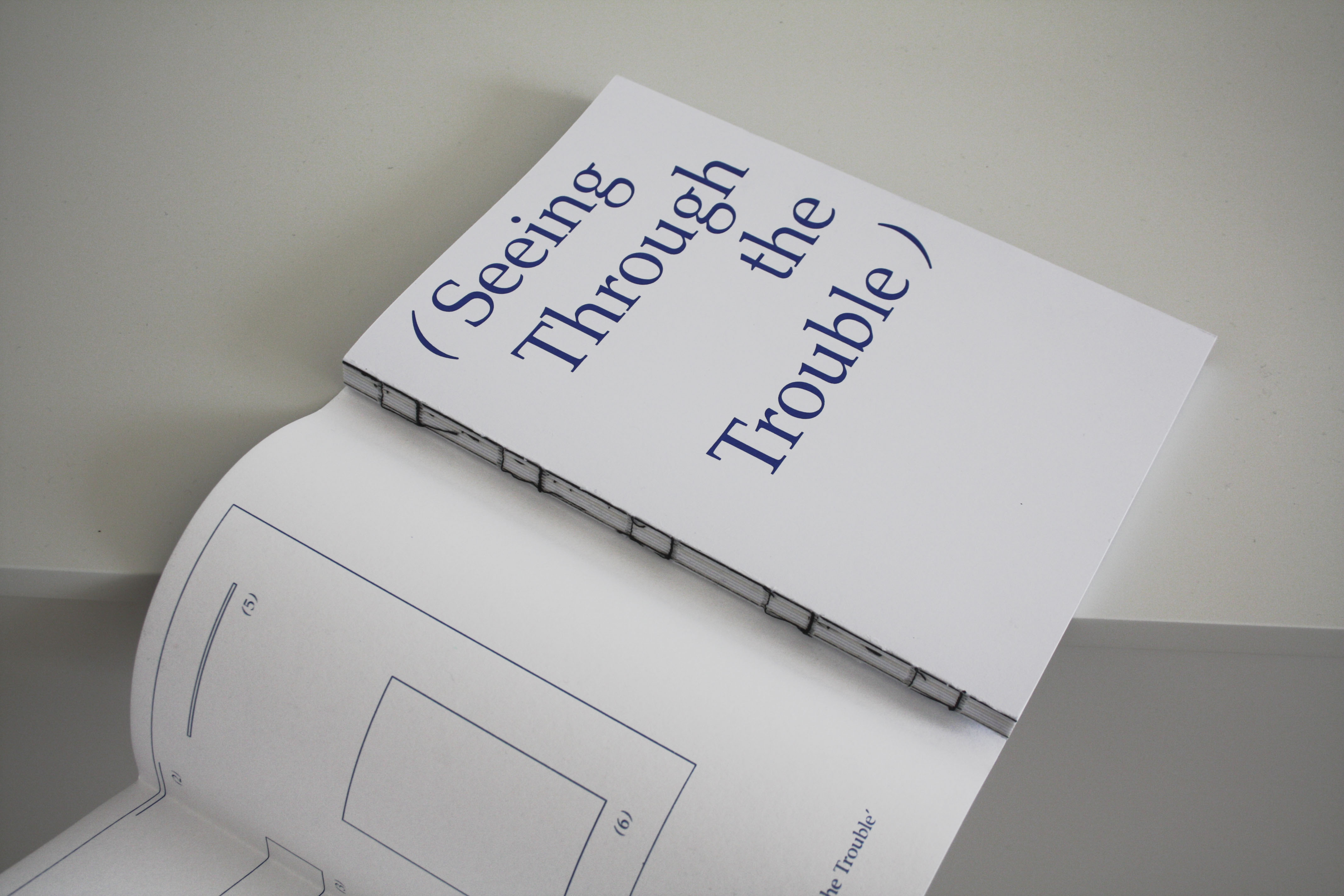 Publication 'Seeing Through the Trouble'