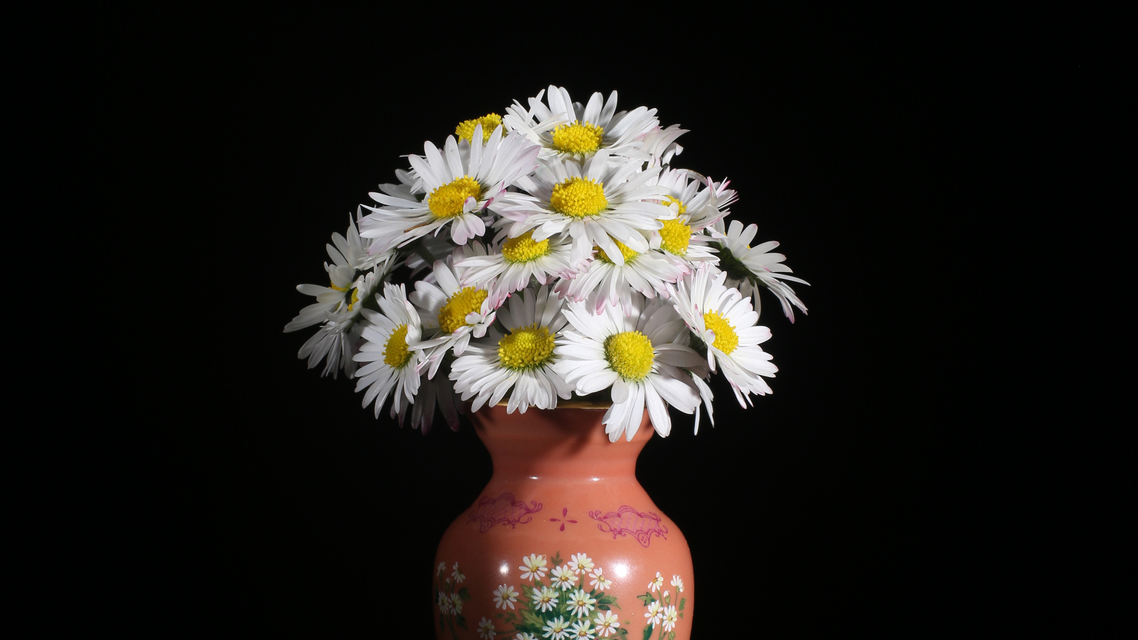 Dancing daisies