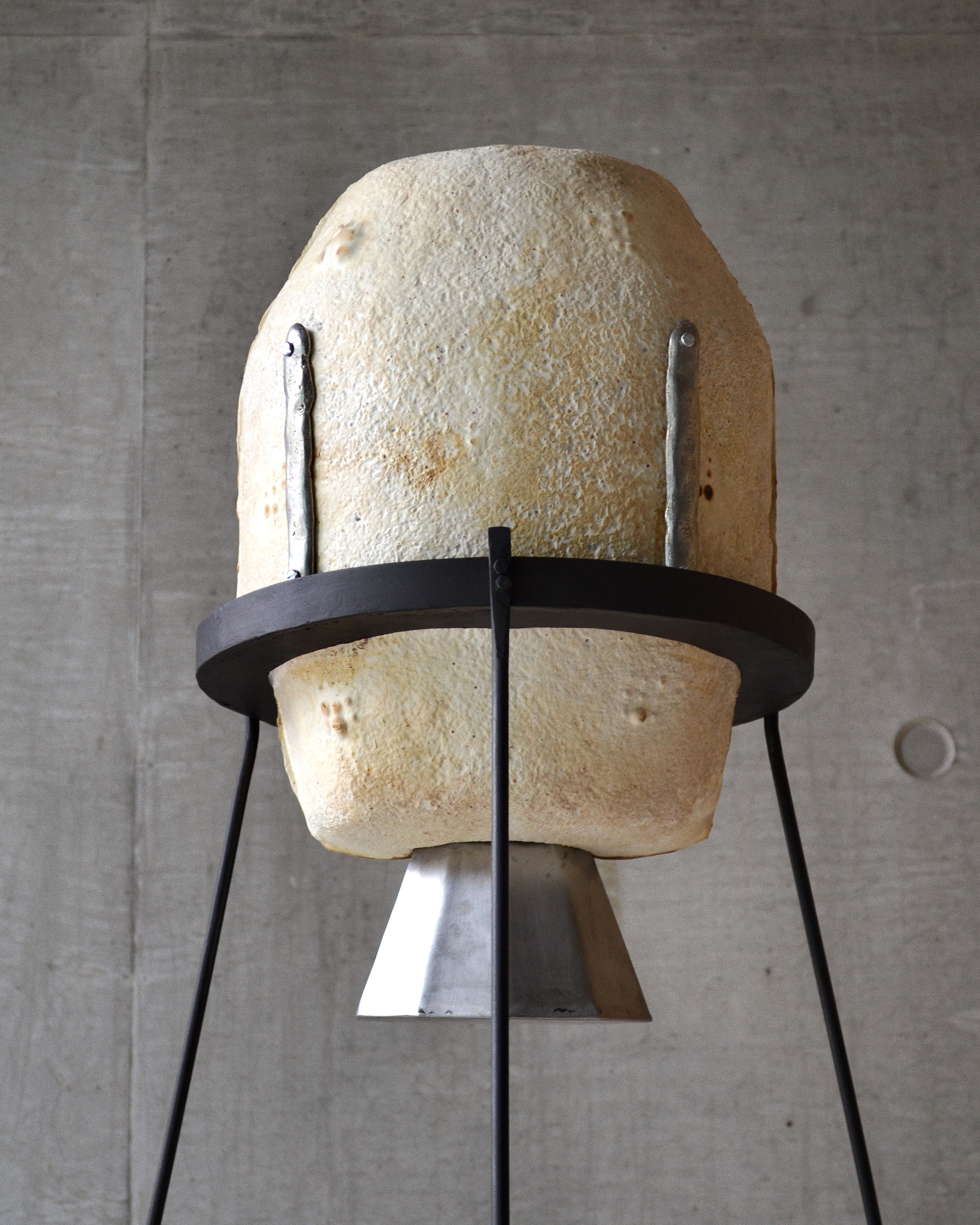 the mycelium form
