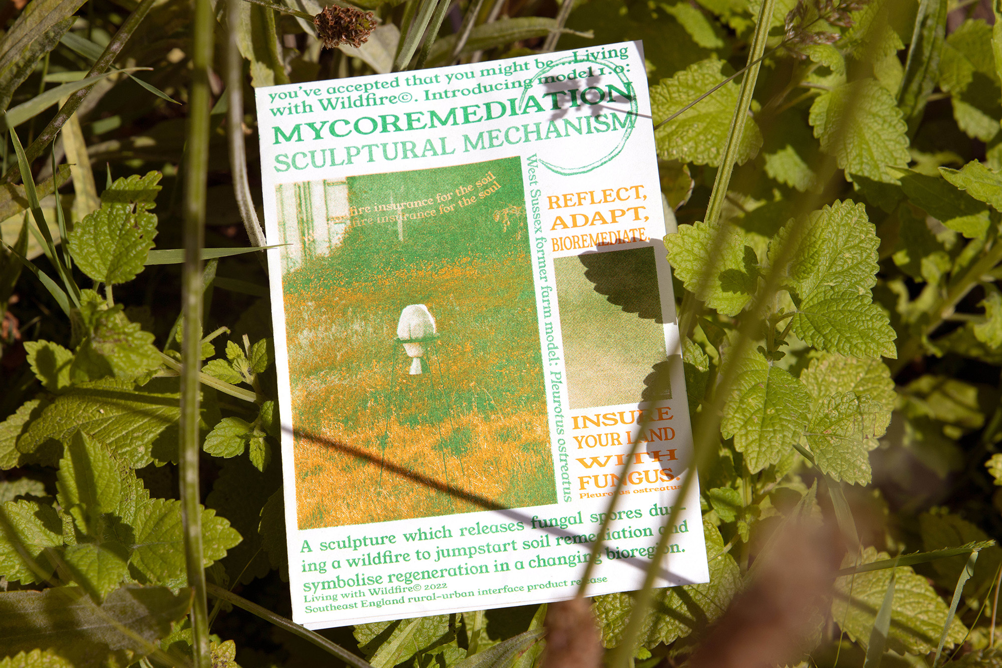 the accompanying leaflet