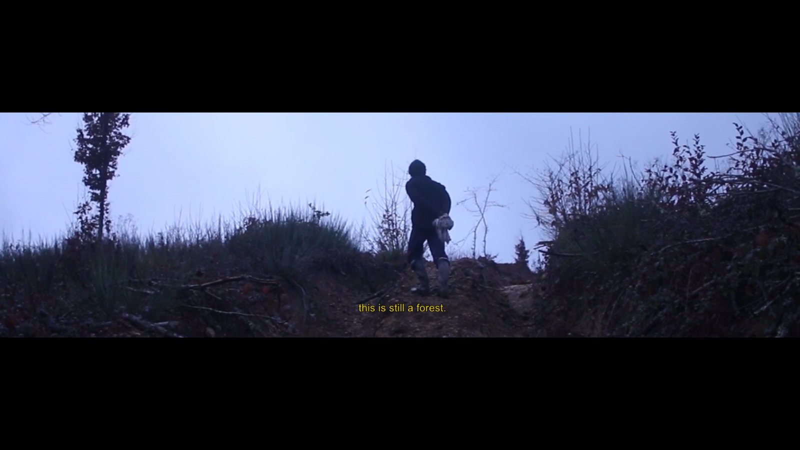 still from documentary FAIRE FORÊT