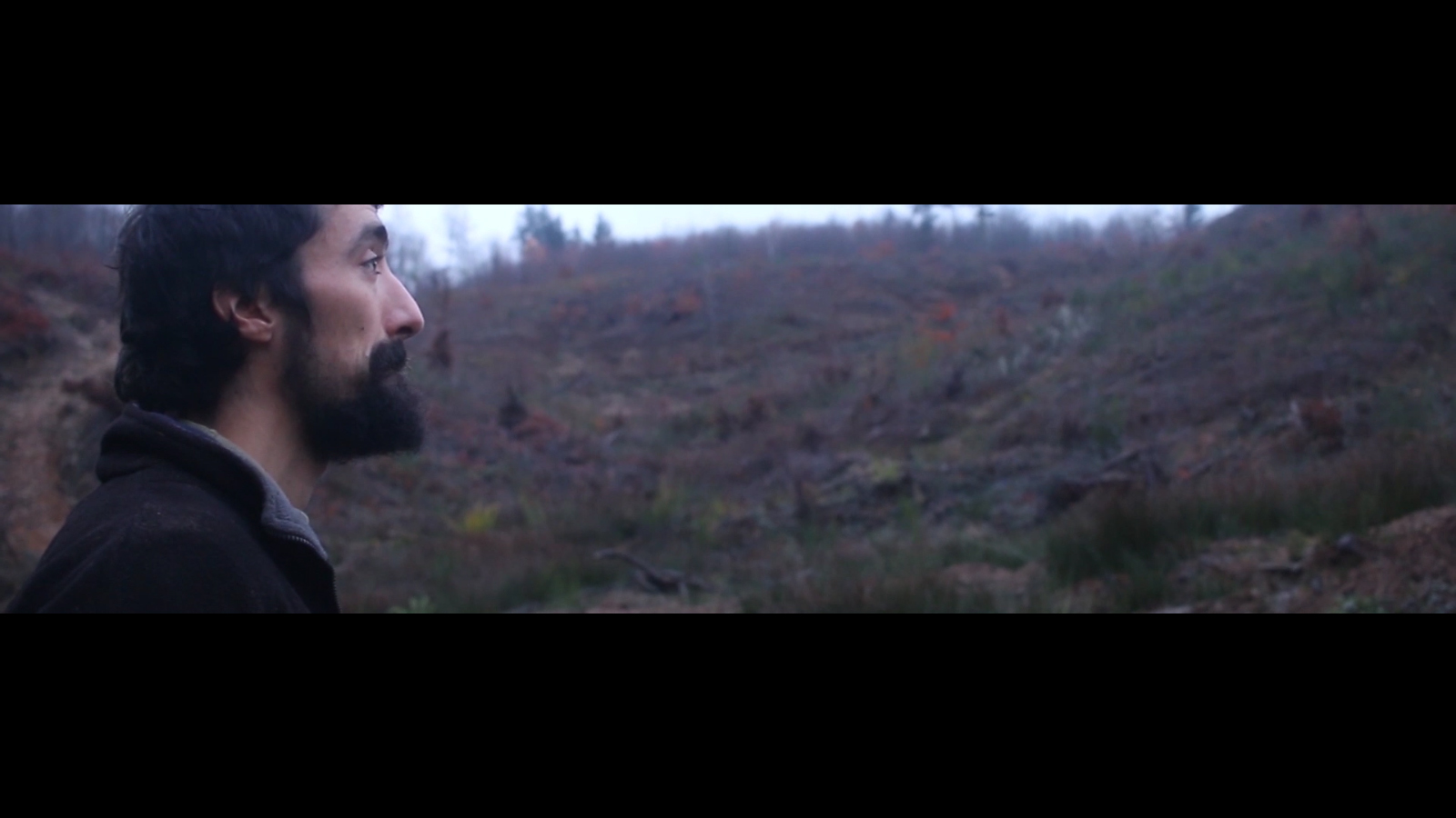 still from documentary FAIRE FORÊT