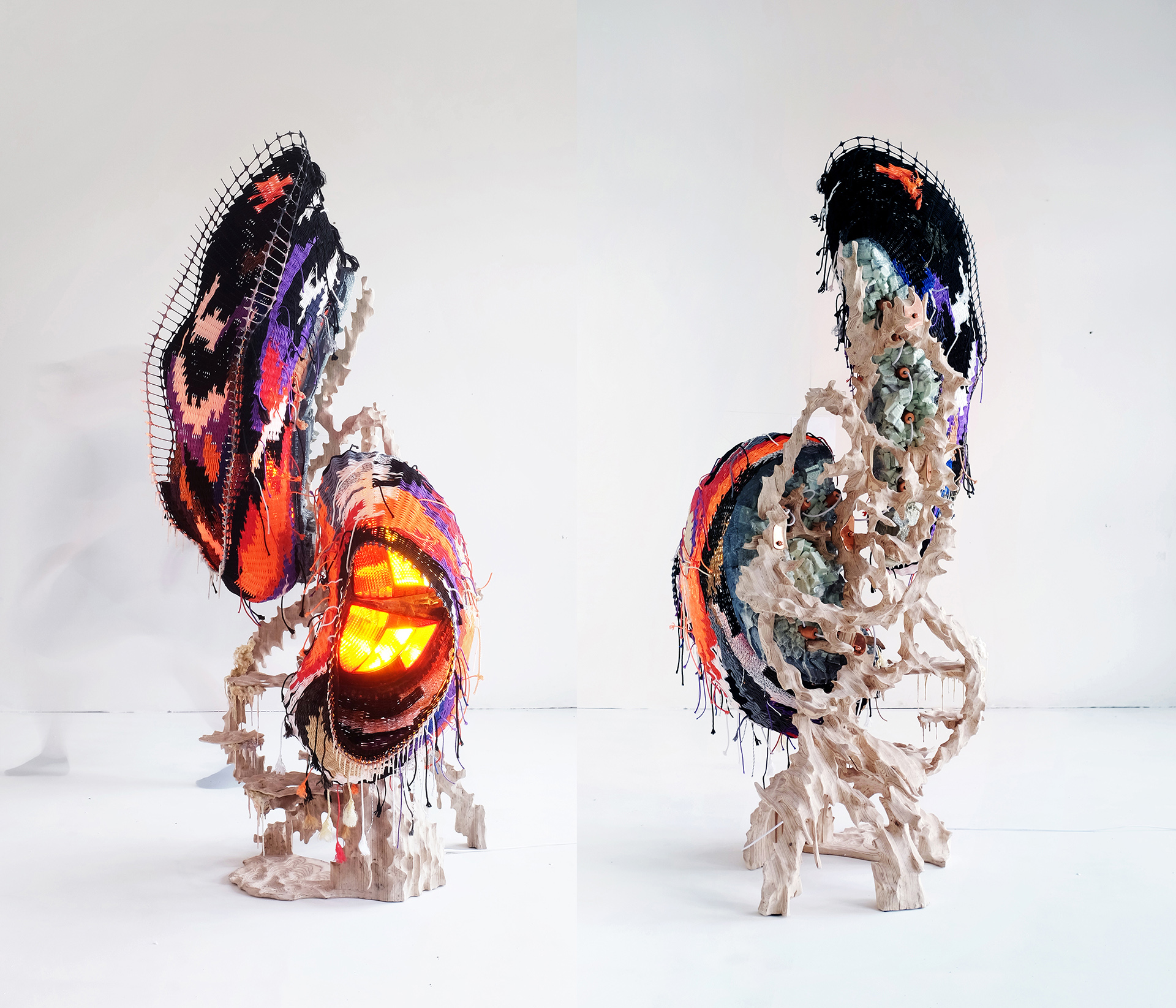 The Metamorphosis, Growth