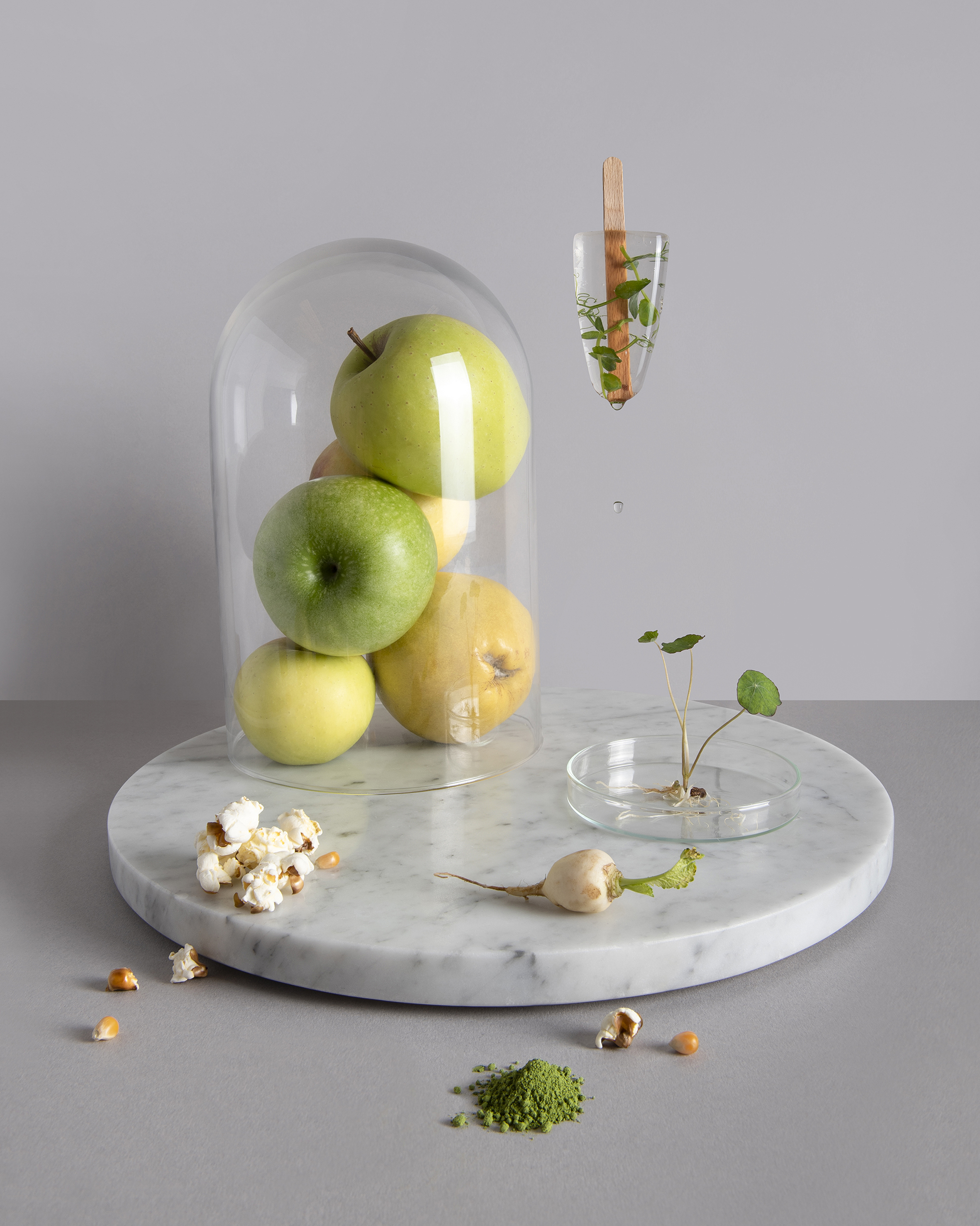 Technovore - Evolution of the Omnivore