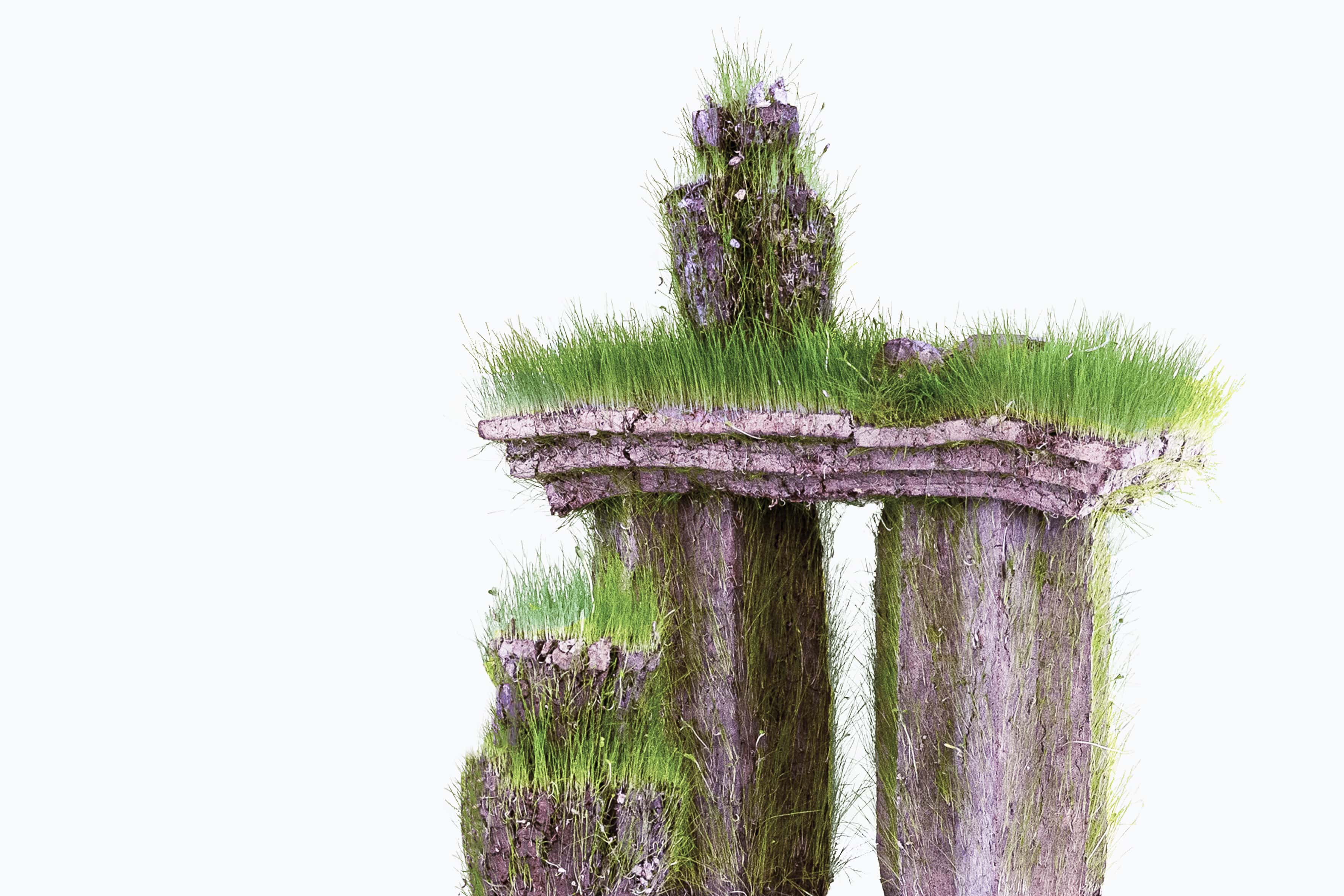 Bloomed sculptures, gradually crumbling.