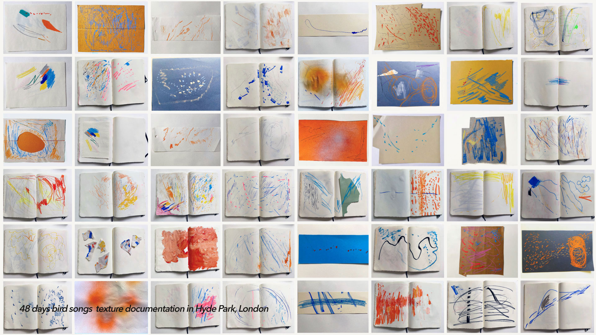48 days birdsongs data collection